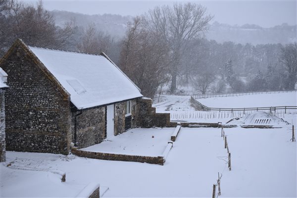 In the snow